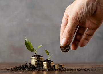 Mutual Fund Investment Course